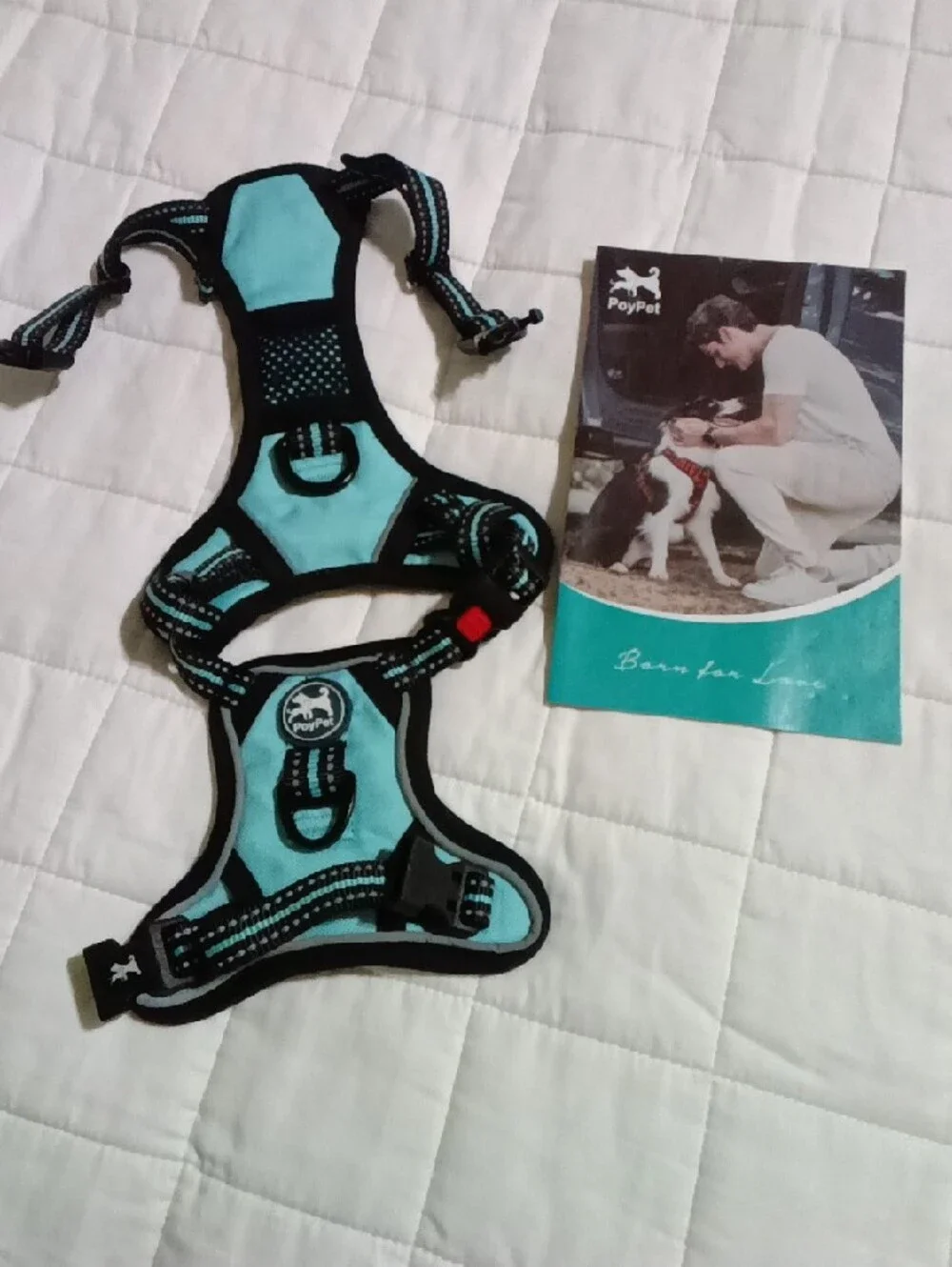 PoyPet No Pull & Choke Free 🐶 Dog Harness Padded Pet Vest Mint Blue Size XS
